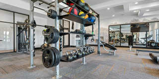The Henry Gallery 14