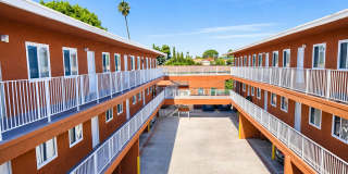 Las Dos Palmas Gallery 1