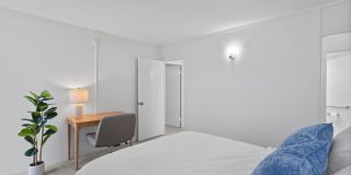 3103 Pualei Circle Gallery 11