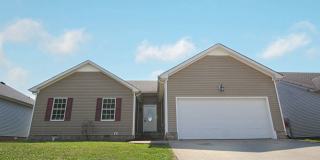 Pet Friendly Three Bedroom! Pet Friendly Three Bedroom! Gallery 1
