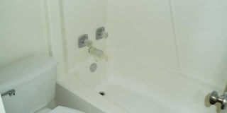 Cottonwood Gallery 6