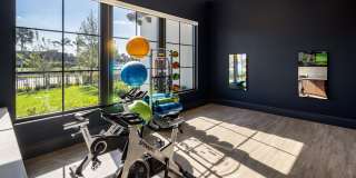 Locklyn West Palm Gallery 11