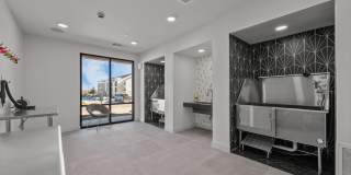 Arden 231 Gallery 31