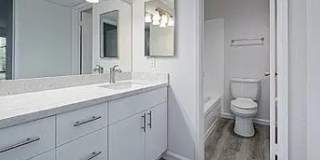 Large 1 Bedroom in Walnut Creek, Gym, Pool, Walk to Town Gallery 9