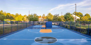 Halstead Countryside Gallery 27