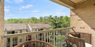 Brighton Village Gallery 4