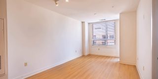 The Veridian Gallery 61