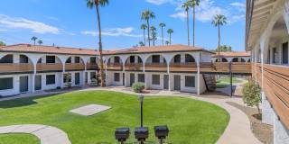 Aster on University Gallery 25