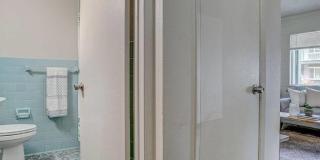 Bears Village Gallery 15