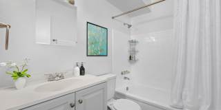 Amazing Renovated Apartments Gallery 2