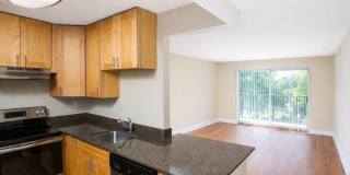 Plantation Gardens Gallery 9