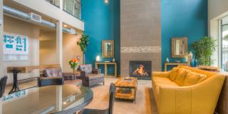 Seasons at Lea Hill Gallery 3