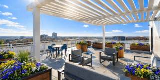 The Grayson Gallery 8