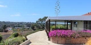 Very Desirable Single Level Home In UTC Has Panoramic Canyon Views Of Mount Soledad Gallery 26
