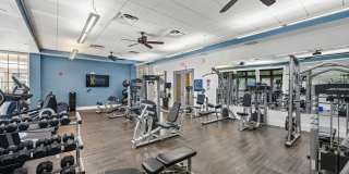 Paseo at Winter Park Village Gallery 48