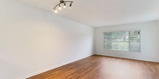 Boca Arbor Club Gallery 35