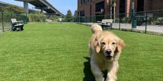 Meeting Street Lofts Gallery 25