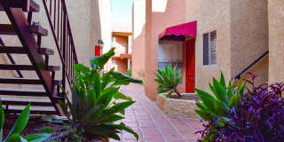 1010 Raleigh Apartments Gallery 6