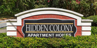 Hidden Colony Gallery 1