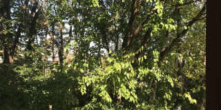 351 S. Madison St Gallery 11