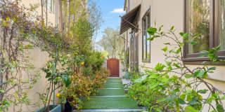 319 Orchid Gallery 11