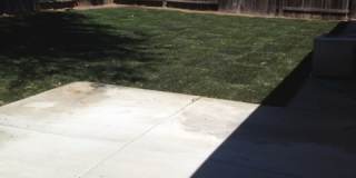 Recently Remodeled Four Bedroom Rosemont Home with Large Backyard! Gallery 11