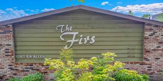 The Firs Apartments Gallery 2