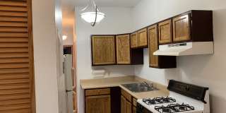 118 Cottage Street#8 Gallery 1