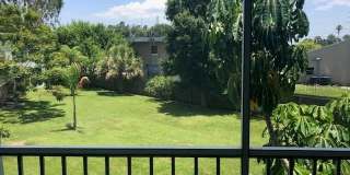2-Bedroom Condo with Tampa Bay Views in Desirable Tradewinds Community! $400 OFF 1st Month Rent (Lease signed by June 26!) Gallery 6