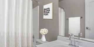 The Aurora Gallery 9