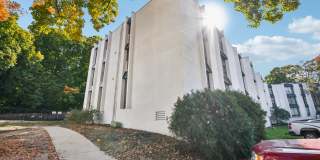 Wayzata Woods Gallery 1