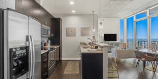 Allure Hermann Park Gallery 70