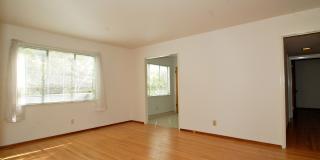 2910F Gallery 6