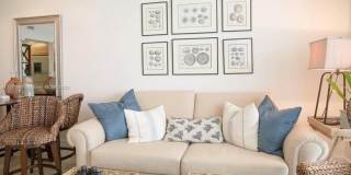 6365 Collins Ave Gallery 5