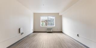 Woodland Flats Gallery 148