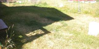 Pet Friendly 3 Bedroom 2 Bathroom Duplex Gallery 6
