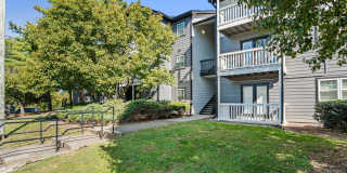 Avana Collins Creek Gallery 33