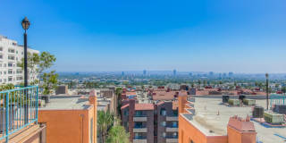 La Vista Terrace Gallery 29