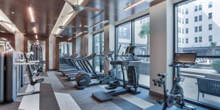 Windsor Turtle Creek Gallery 15