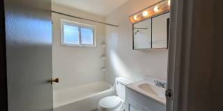 1174 D Kelburn Road Gallery 9