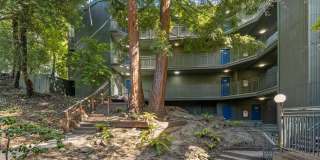 2700 Le Conte Avenue - 1 Gallery 1