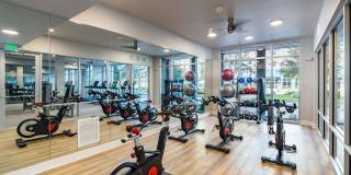 Legacy Encore Gallery 6