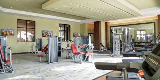 The Strand Gallery 15