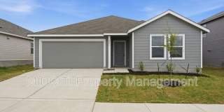 221 Stumpy St Gallery 1