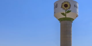 Ryze at Sunfield Gallery 4