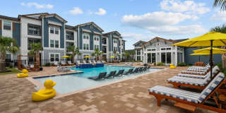 Evolve Champions Gallery 20