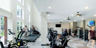 151 Centre Street Gallery 8