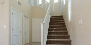 8277 Brilliant Pompon Place Gallery 11