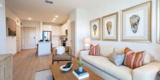 J. Ardin at Apopka Gallery 9