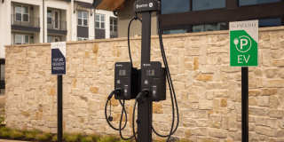 The Prado Gallery 40